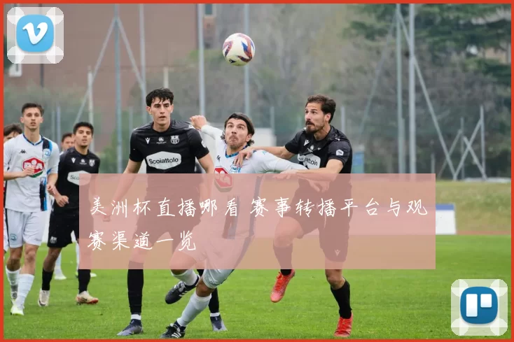 美洲杯直播哪看 赛事转播平台与观赛渠道一览